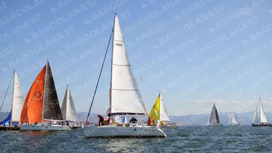 Mascone n° 0240, 0262