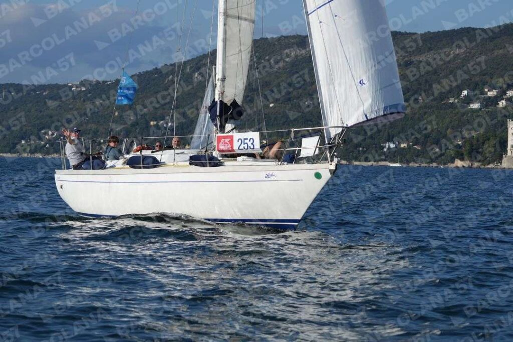 Mascone n° 0253