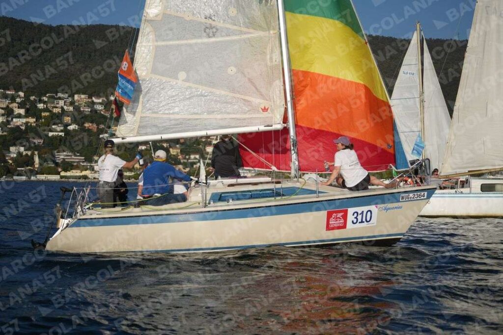Mascone n° 0310