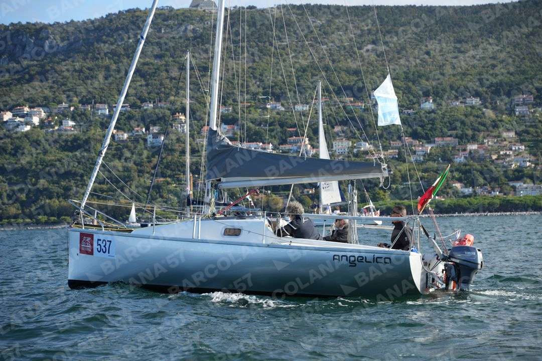 Mascone n° 0537