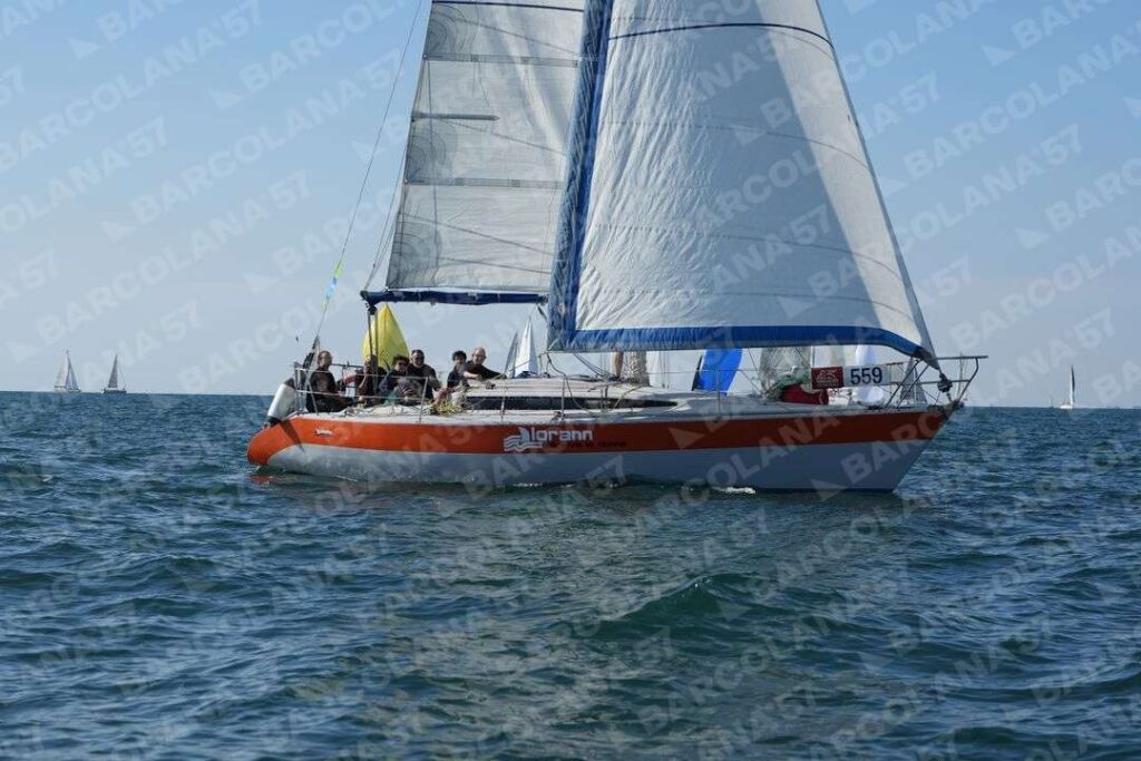 Mascone n° 0559