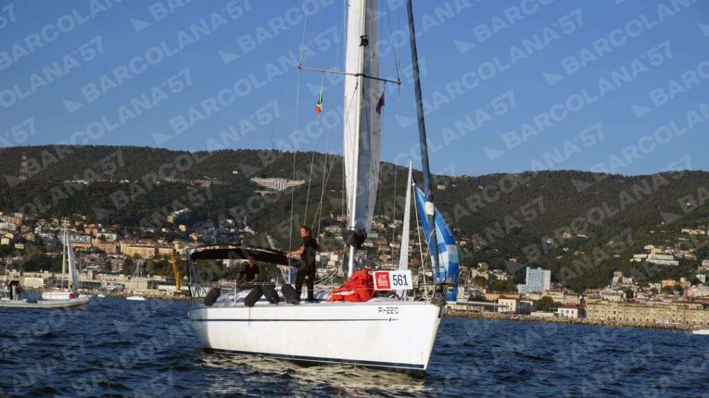 Mascone n° 0561