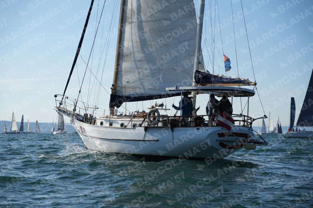 Mascone n° 0589