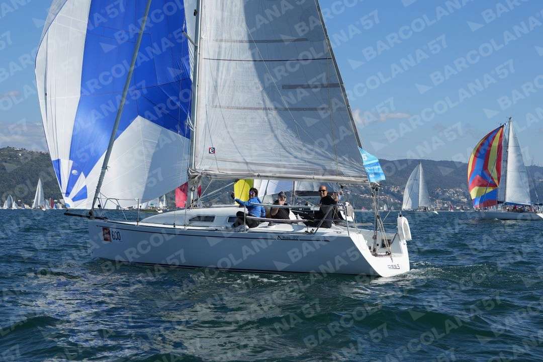 Mascone n° 0600 - immagine 1