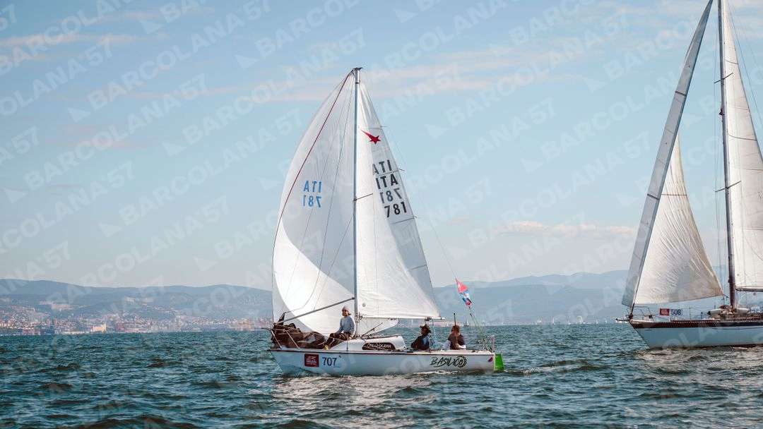Mascone n° 0707, 0508 - immagine 1
