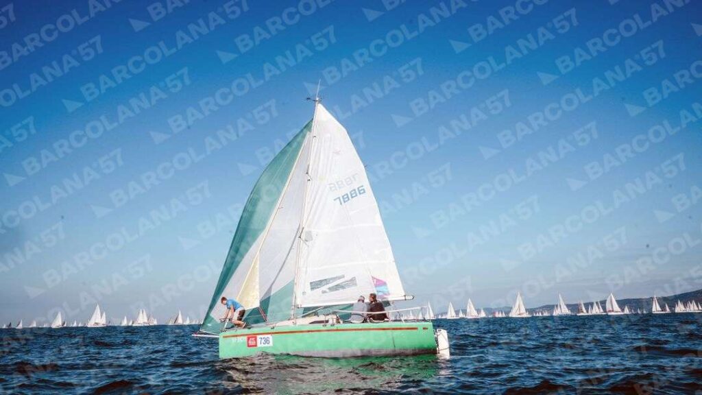 Mascone n° 0736