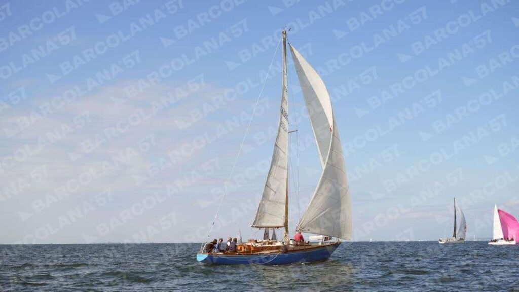 Mascone n° 0769