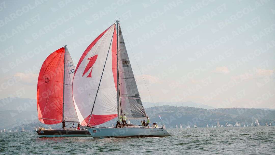 Mascone n° 1819, 0778 - immagine 1