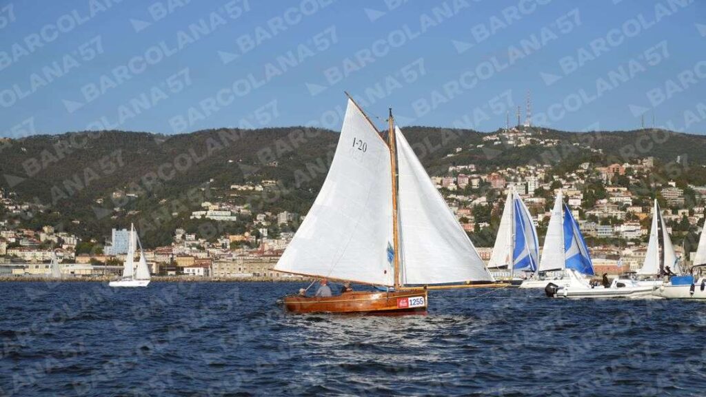 Mascone n° 1255