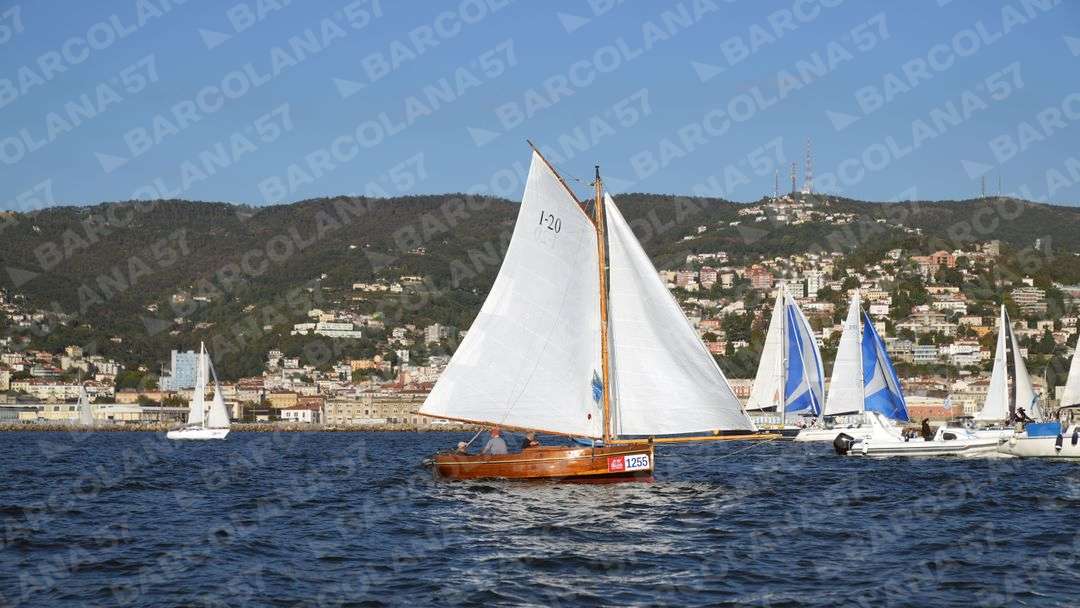 Mascone n° 1255