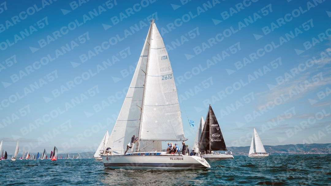 Mascone n° 1281