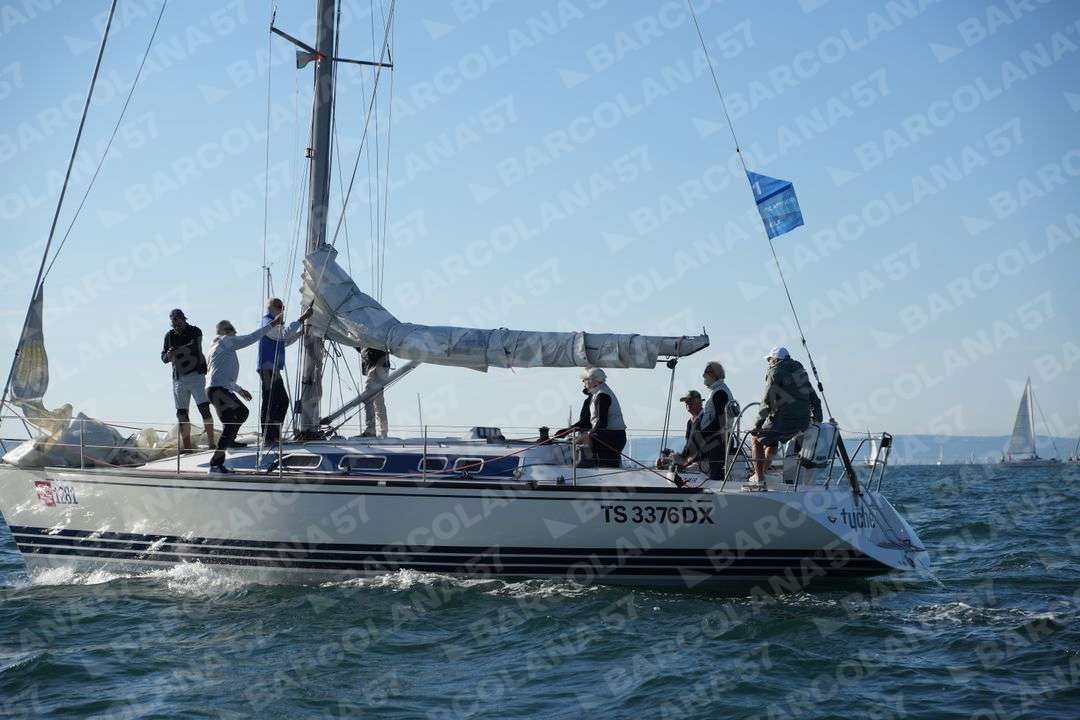 Mascone n° 1281