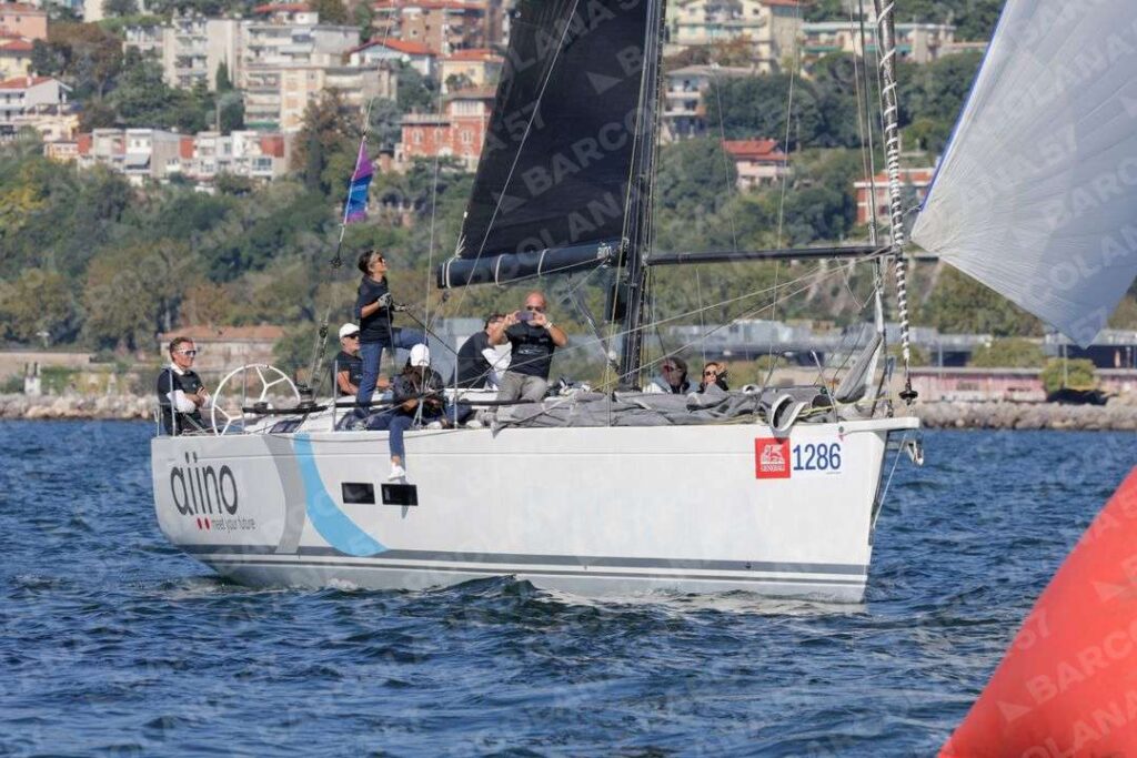 Mascone n° 1286