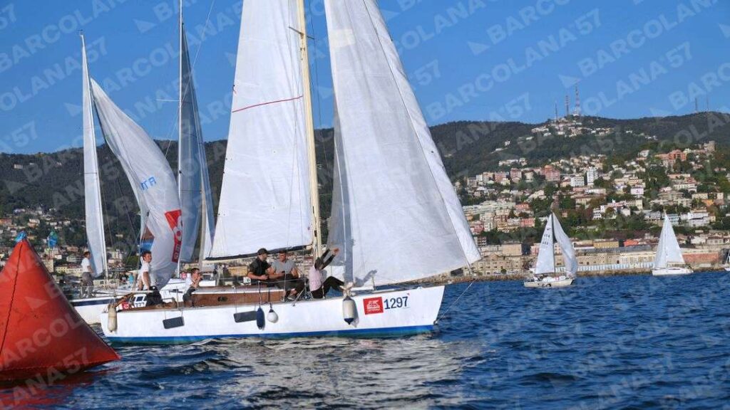 Mascone n° 1297