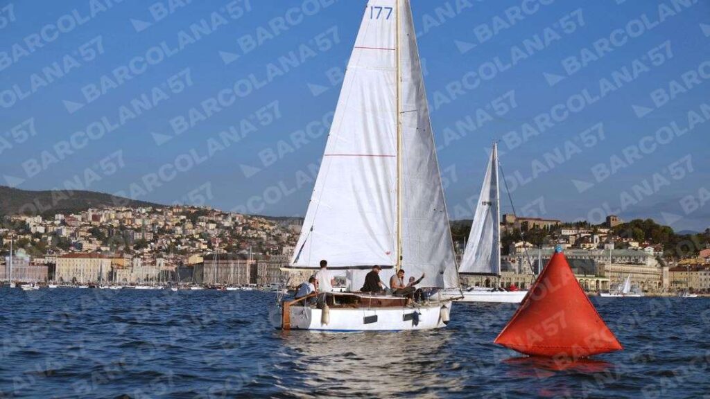 Mascone n° 1297