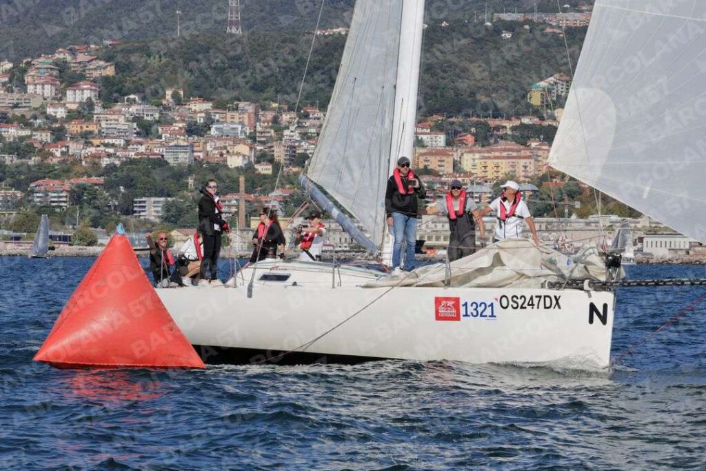 Mascone n° 1321