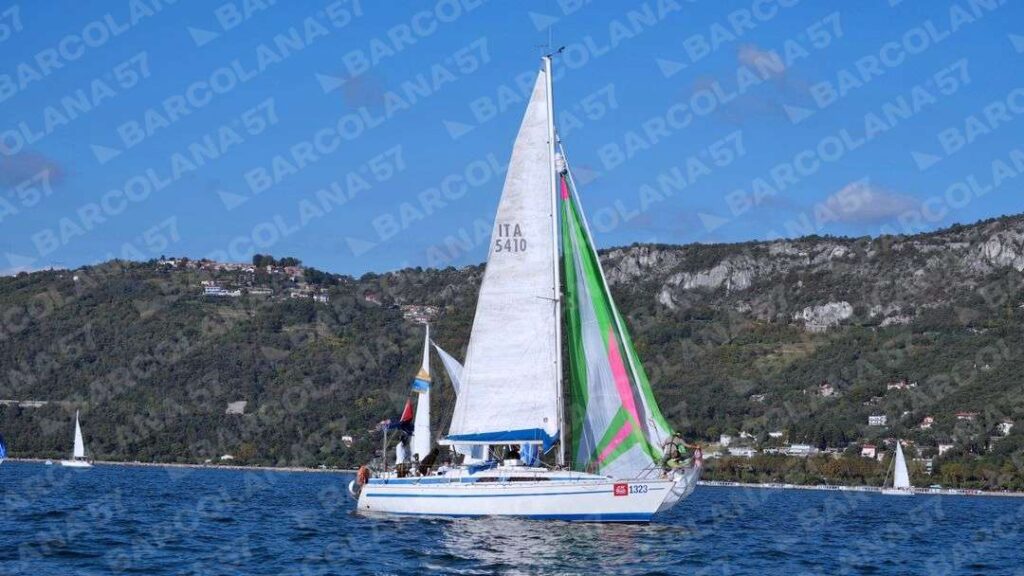 Mascone n° 1323
