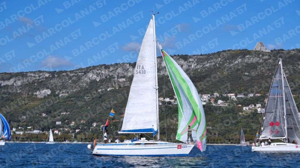 Mascone n° 1323