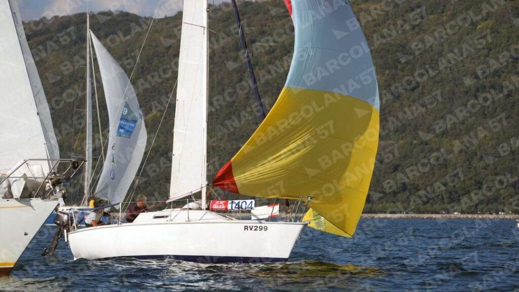 Mascone n° 1404