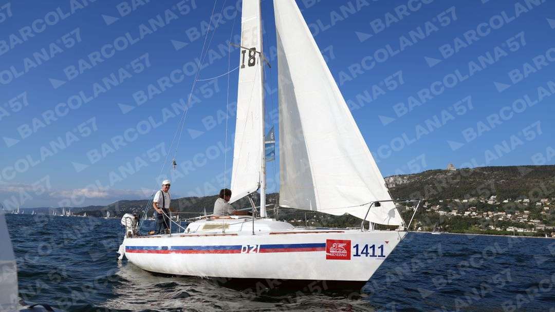 Mascone n° 1411