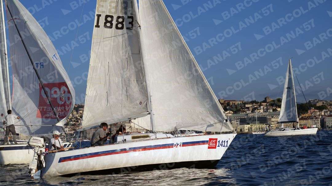 Mascone n° 1411