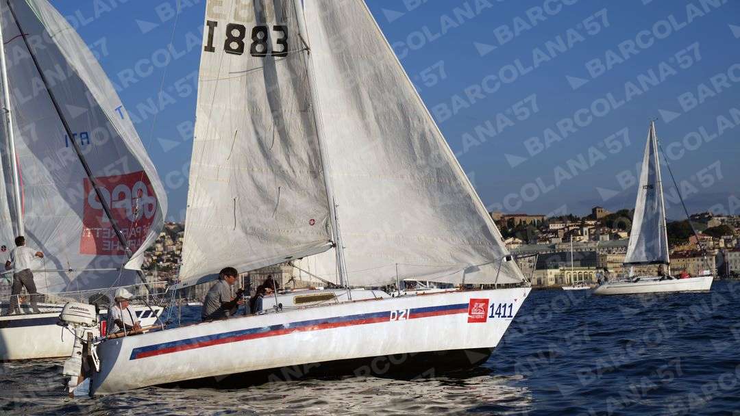 Mascone n° 1411