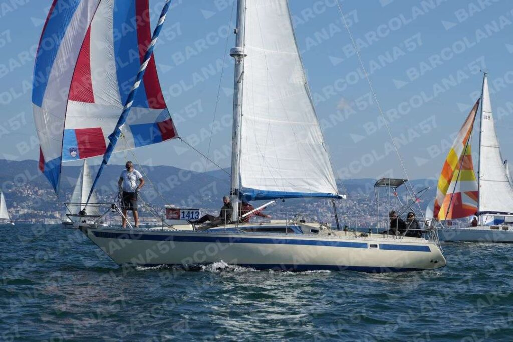 Mascone n° 1413