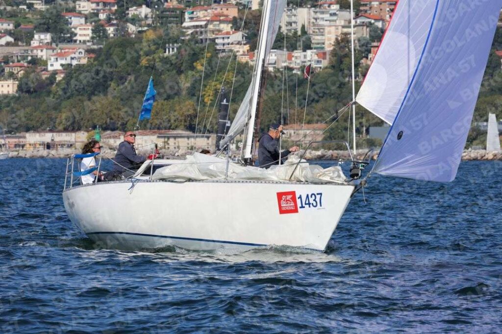 Mascone n° 1437