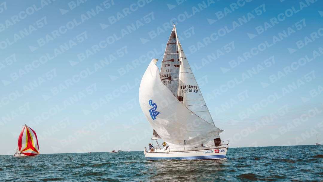Mascone n° 1456