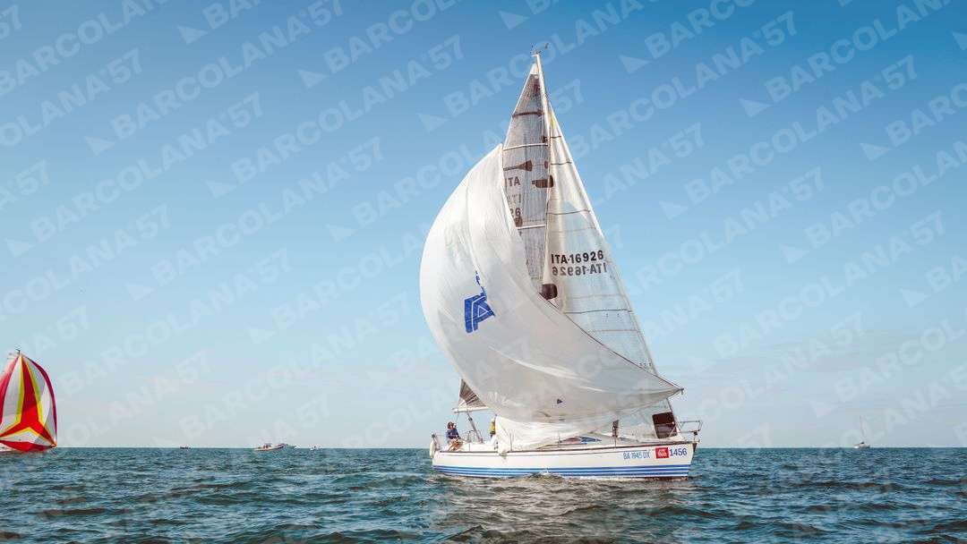 Mascone n° 1456