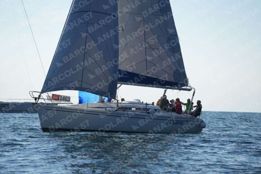 Mascone n° 1463