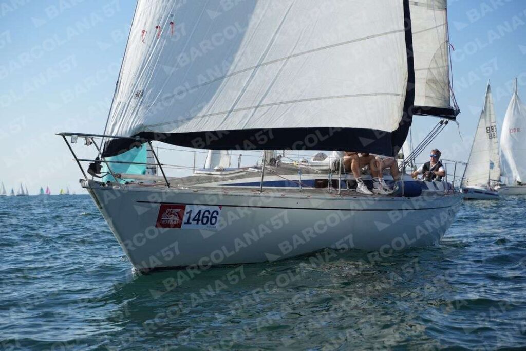 Mascone n° 1466
