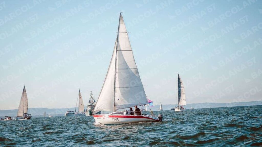 Mascone n° 1544