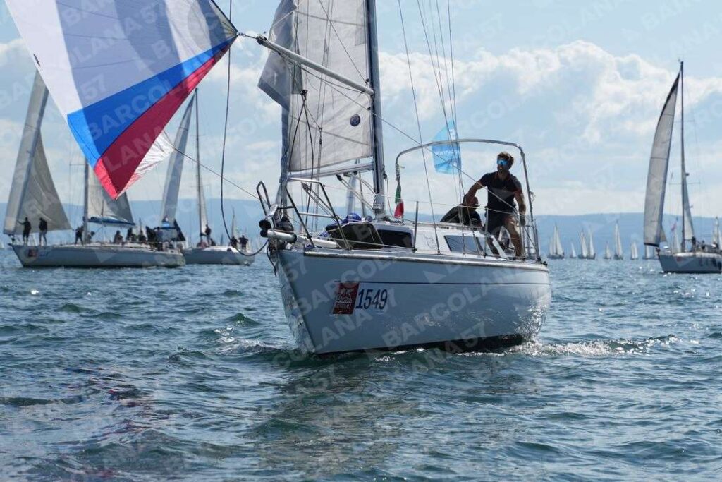 Mascone n° 1549