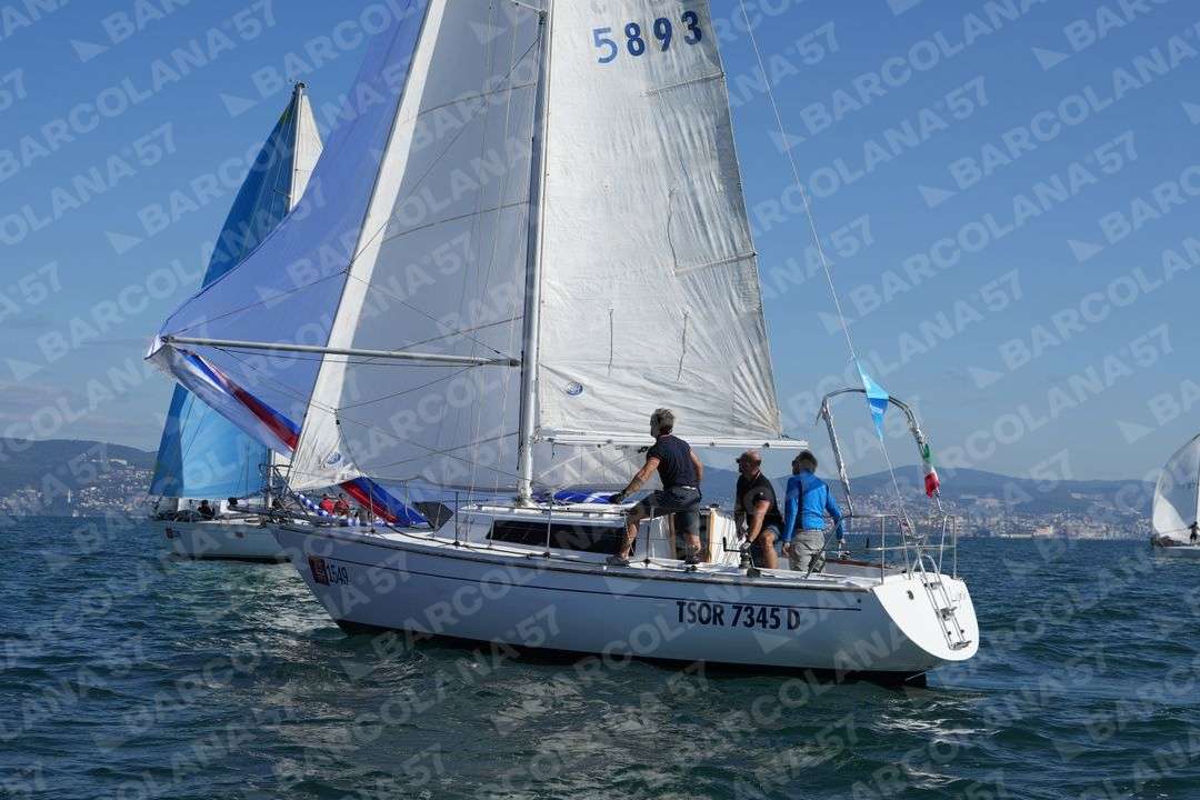Mascone n° 1549, 1339