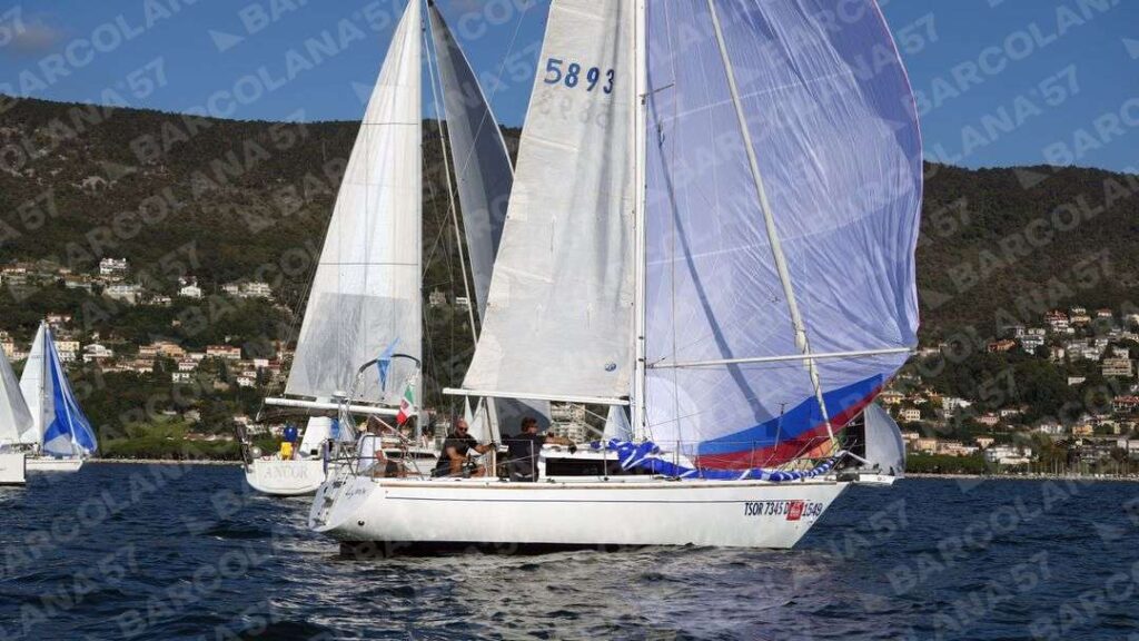 Mascone n° 1549