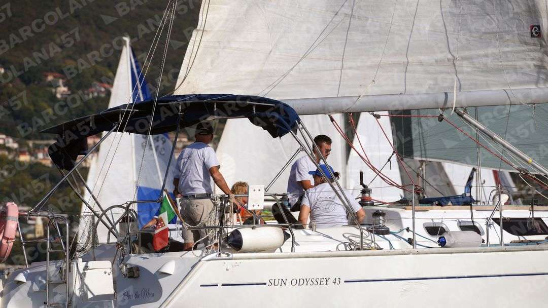Mascone n° 1553