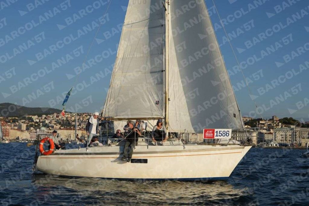 Mascone n° 1586