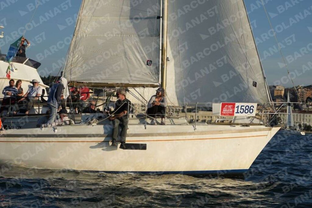 Mascone n° 1586