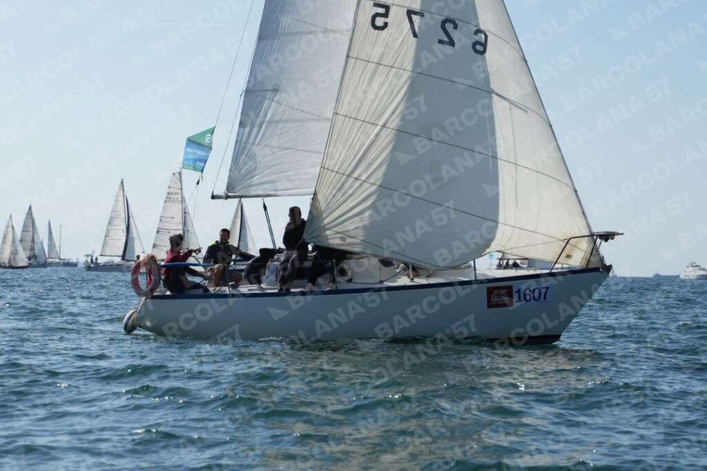 Mascone n° 1607