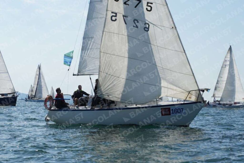 Mascone n° 1607