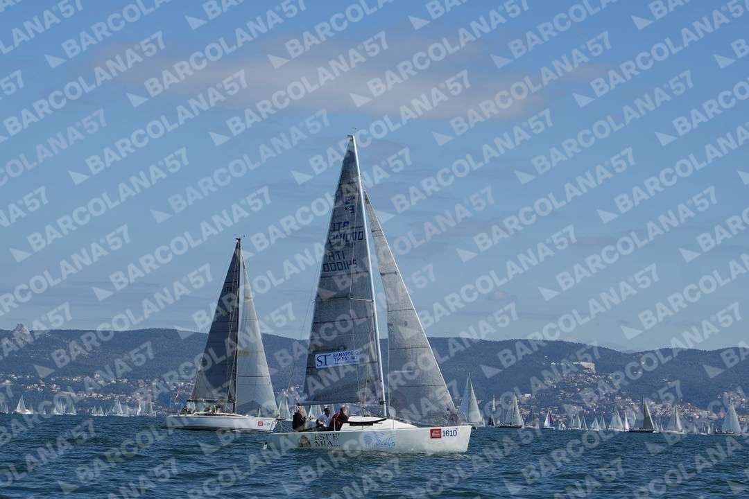 Mascone n° 1610, 1139 - immagine 1