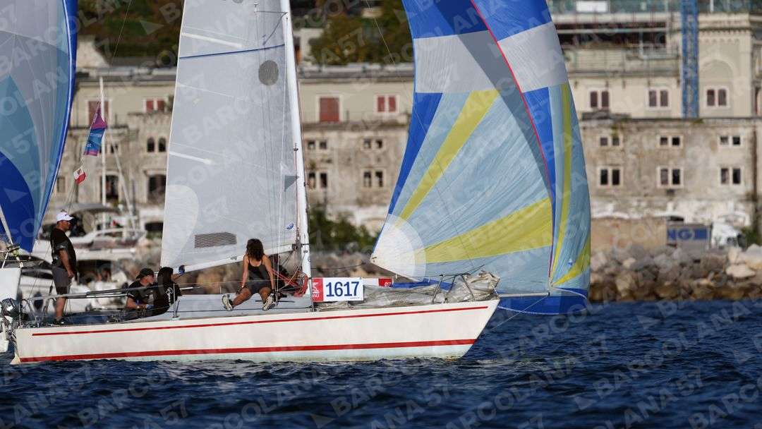 Mascone n° 1617