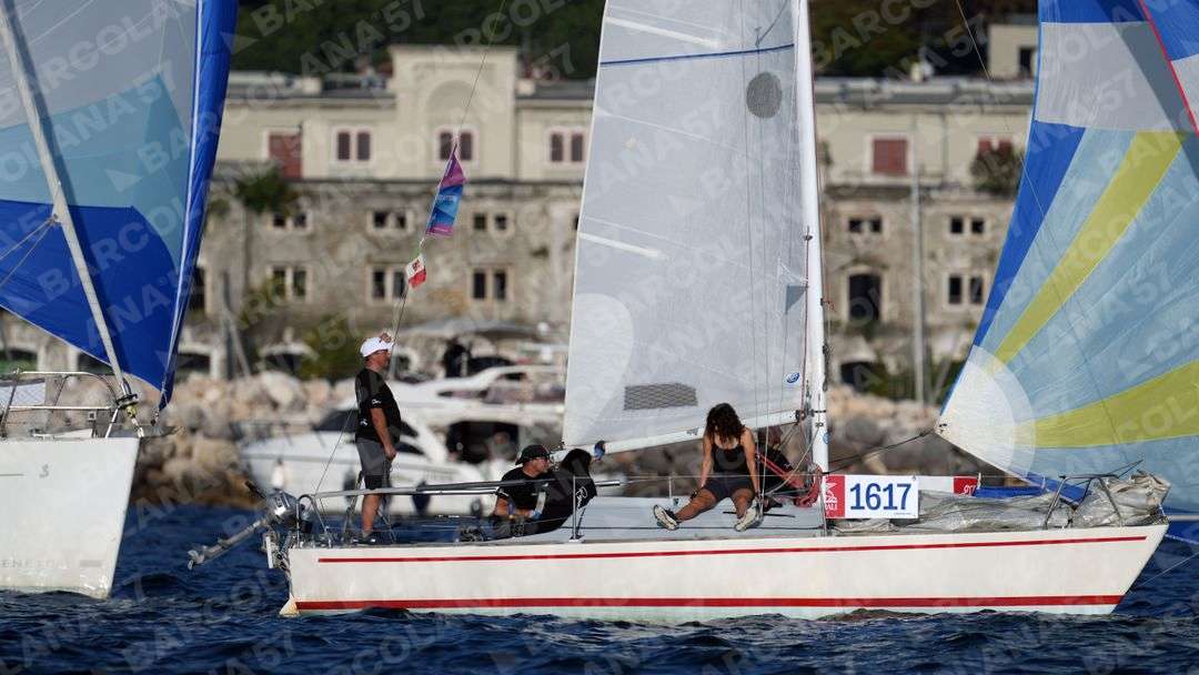 Mascone n° 1617