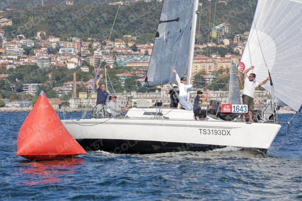 Mascone n° 1643
