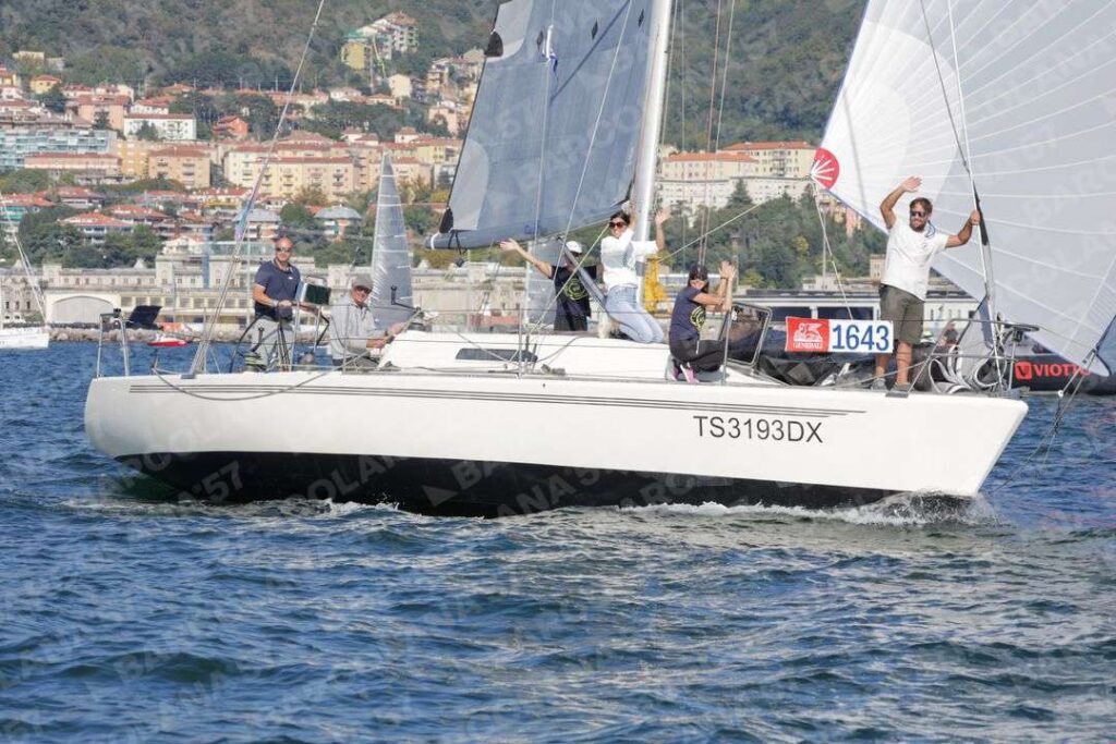Mascone n° 1643