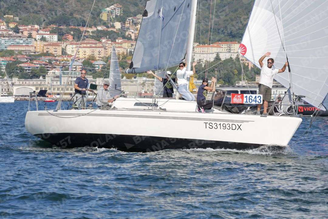 Mascone n° 1643