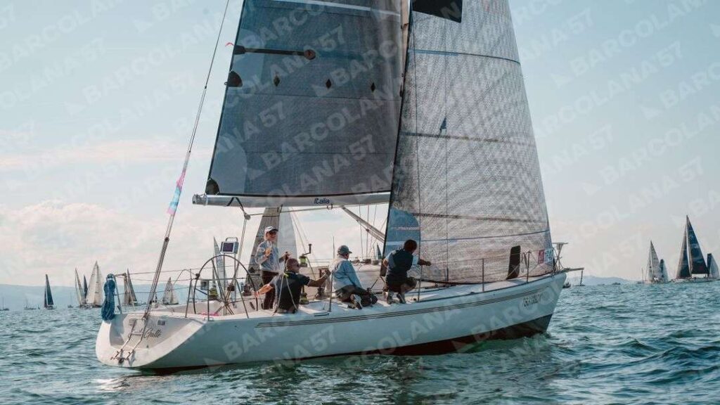 Mascone n° 1643