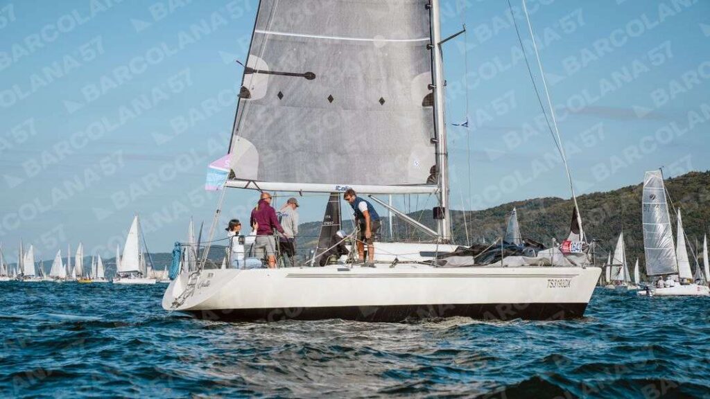 Mascone n° 1643