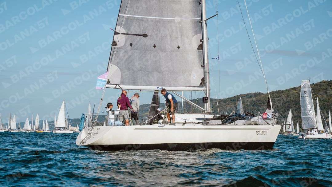 Mascone n° 1643
